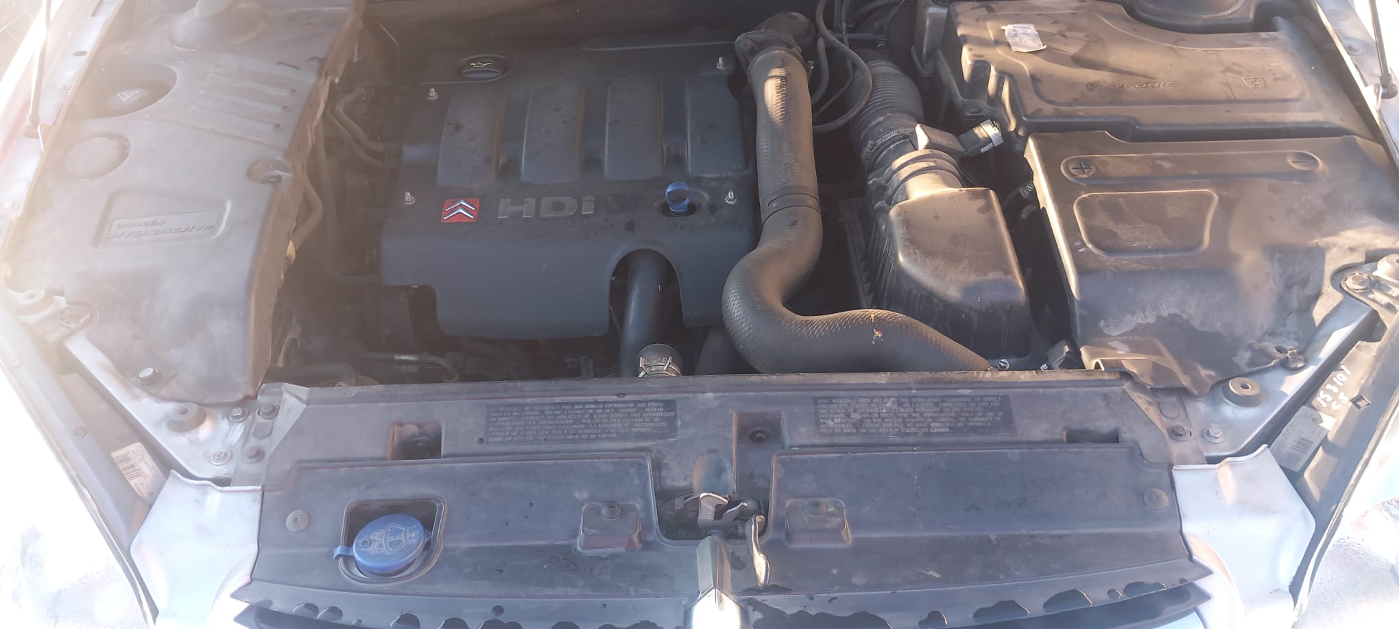 MOTOR COMPLETO