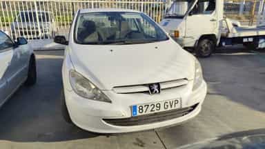 Peugeot 307 (S1)